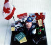 Political figurine of Liberal Barry Campbell, with his flag, art, books, car, militia and more